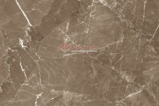 Gạch Ốp Lát Apodio 88283038